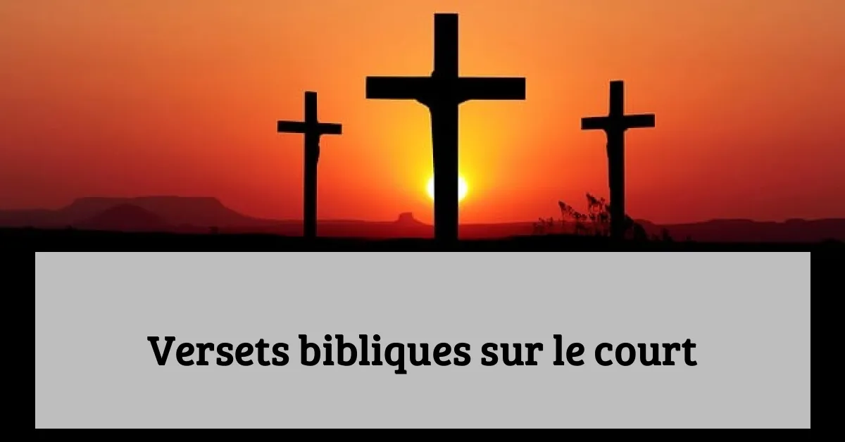 Versets bibliques sur le court