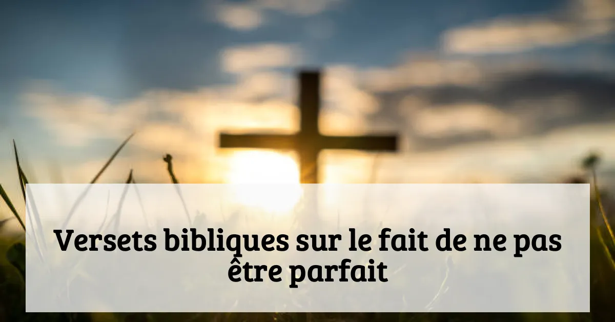 Versets bibliques sur le fait de ne pas être parfait