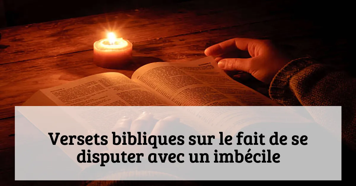 Versets bibliques sur le fait de se disputer avec un imbécile