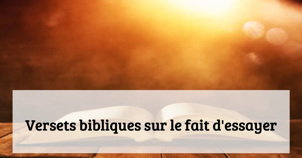 Versets bibliques sur le fait d'essayer