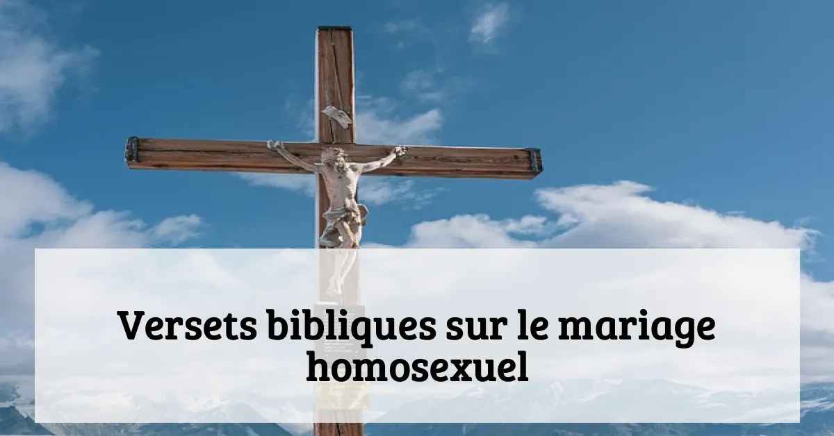 Versets bibliques sur le mariage homosexuel