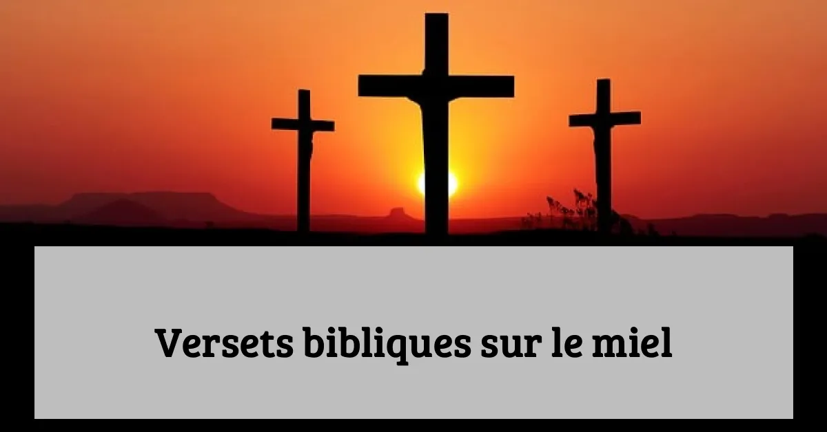 Versets bibliques sur le miel