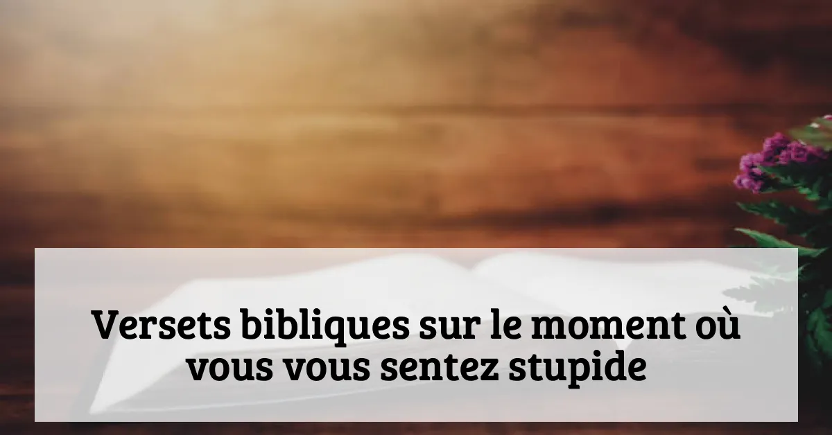 Versets bibliques sur le moment où vous vous sentez stupide
