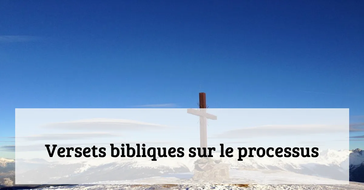 Versets bibliques sur le processus
