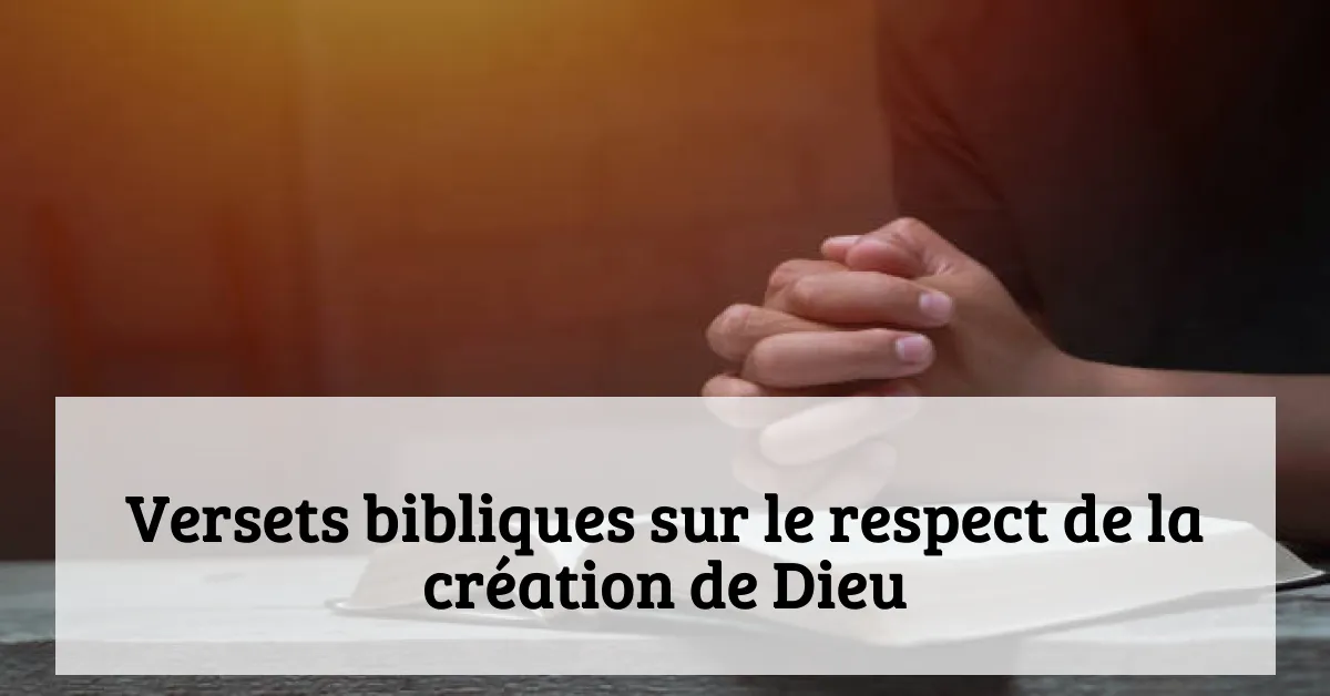 Versets bibliques sur le respect de la création de Dieu