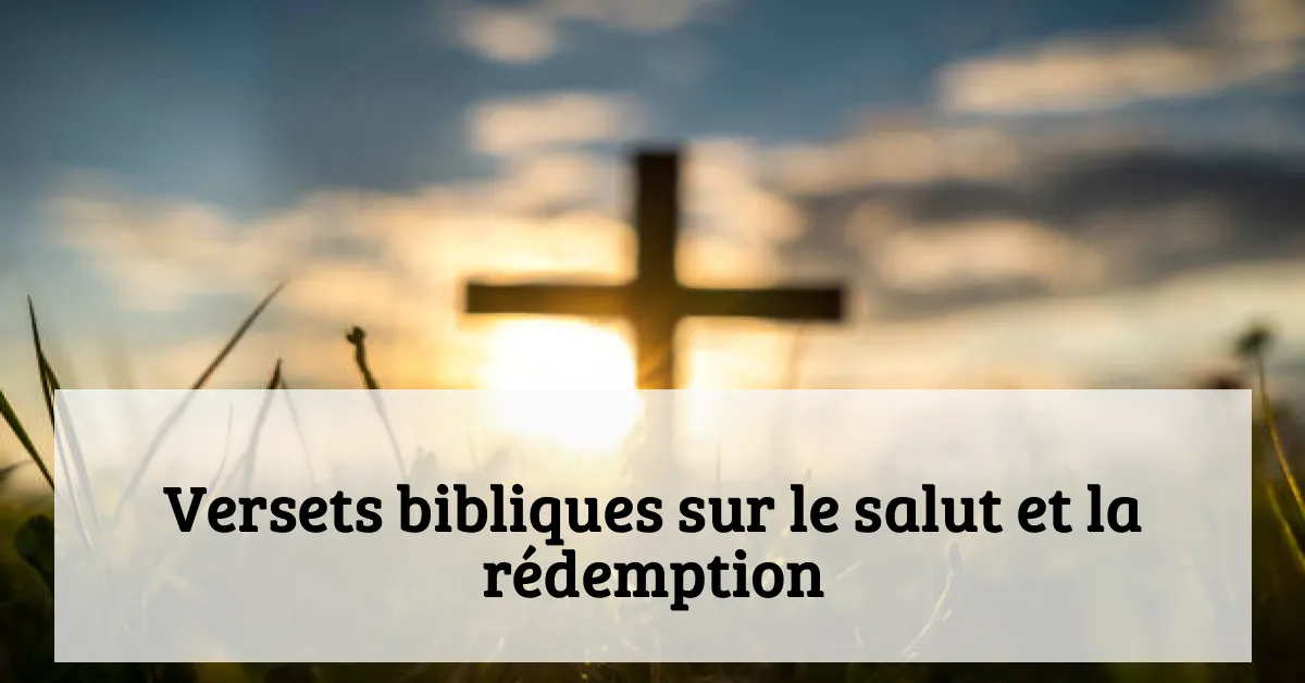Versets bibliques sur le salut et la rédemption