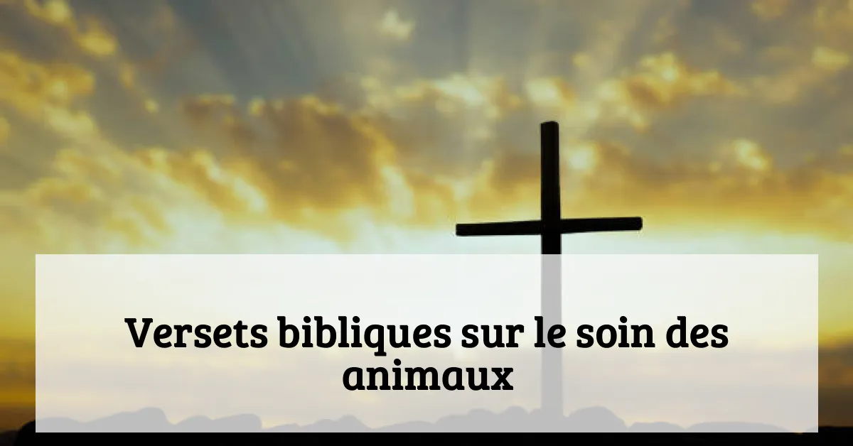 Versets bibliques sur le soin des animaux