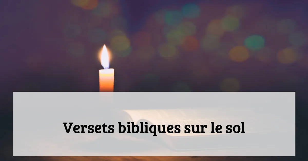 Versets bibliques sur le sol