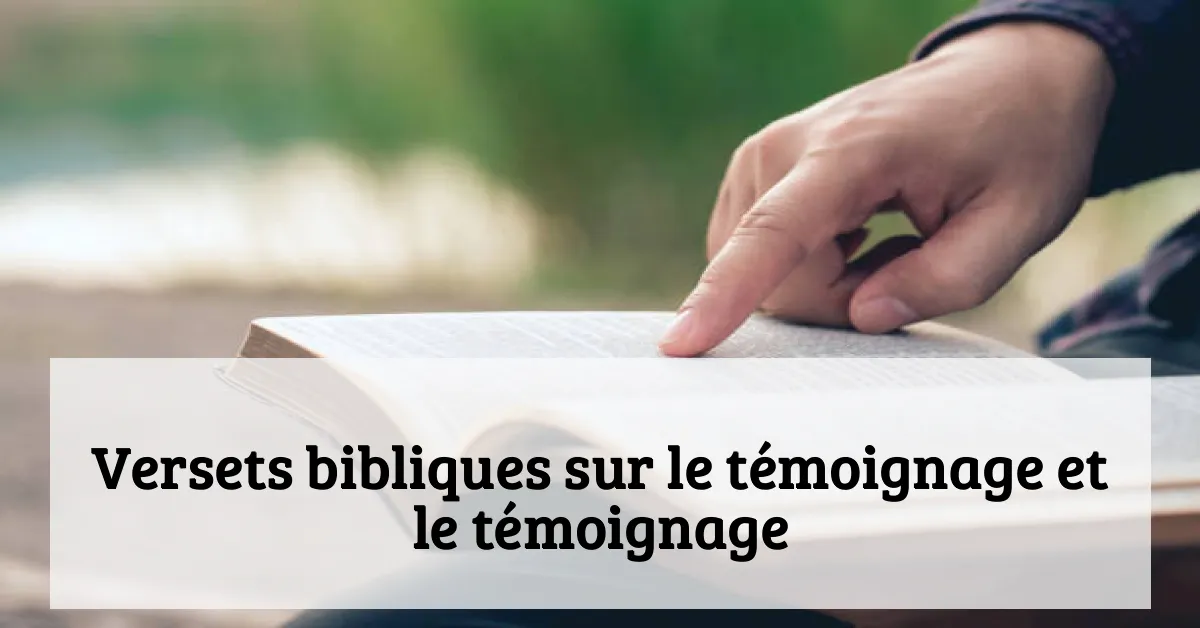 Versets bibliques sur le témoignage et le témoignage