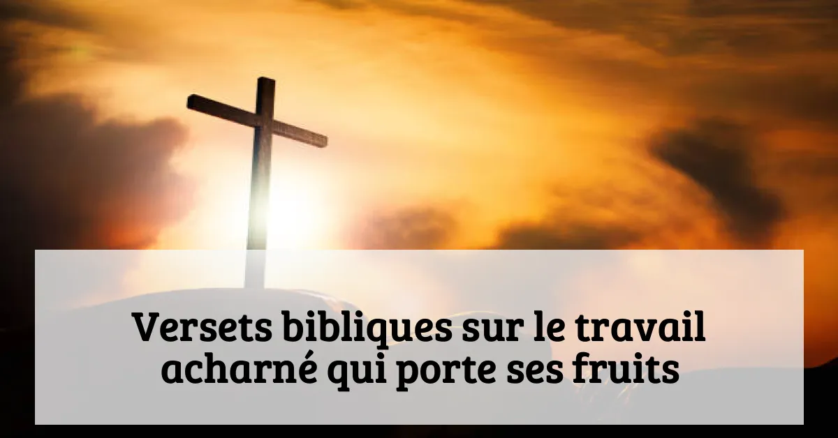 Versets bibliques sur le travail acharné qui porte ses fruits