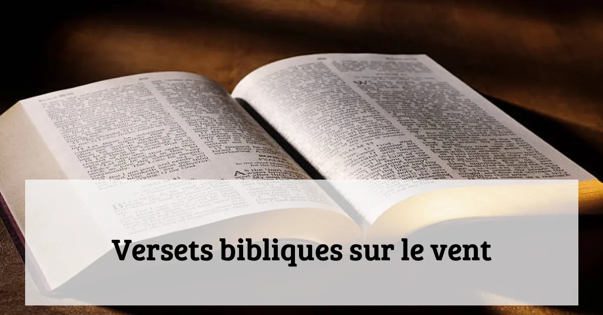 Versets bibliques sur le vent