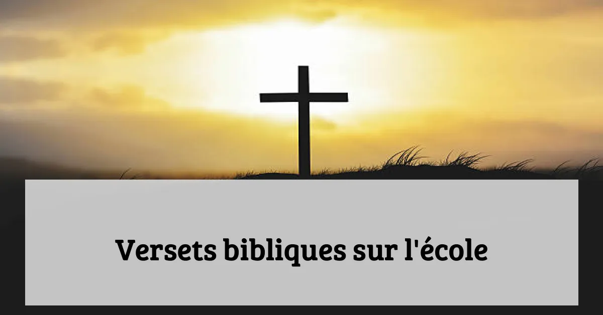 Versets bibliques sur l'école