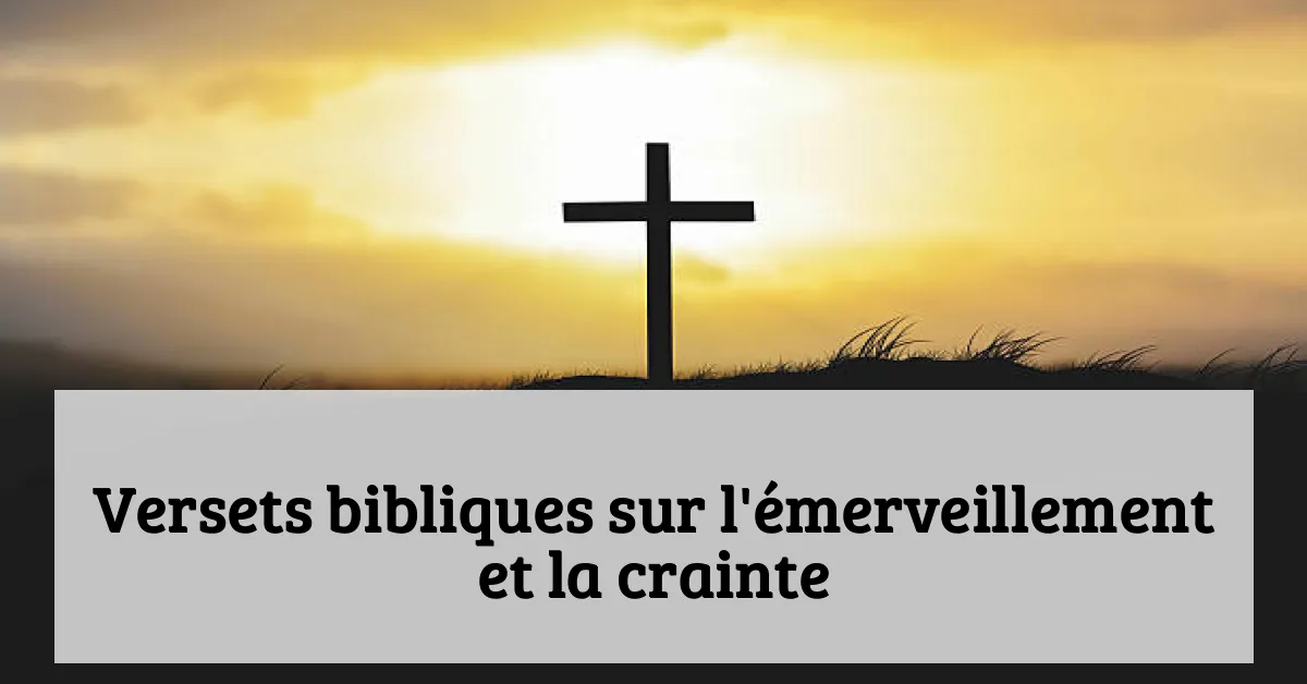 Versets bibliques sur l'émerveillement et la crainte