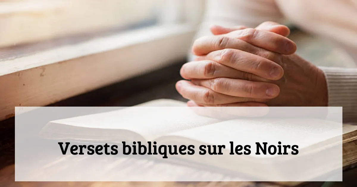 Versets bibliques sur les Noirs