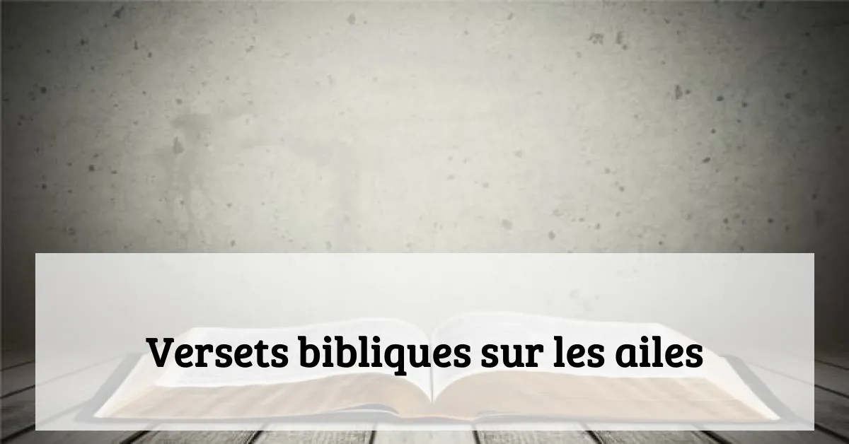 Versets bibliques sur les ailes