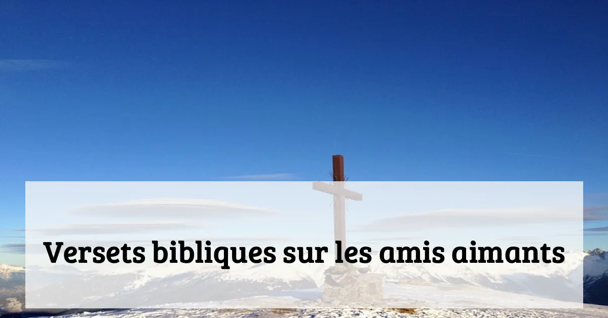 Versets bibliques sur les amis aimants