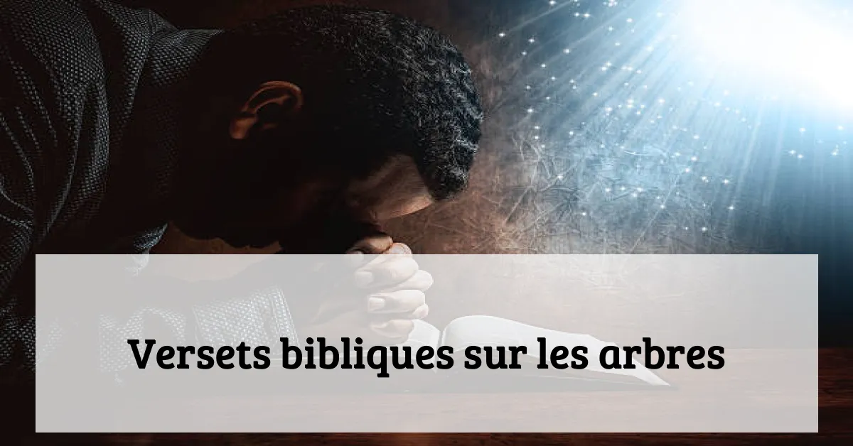 Versets bibliques sur les arbres