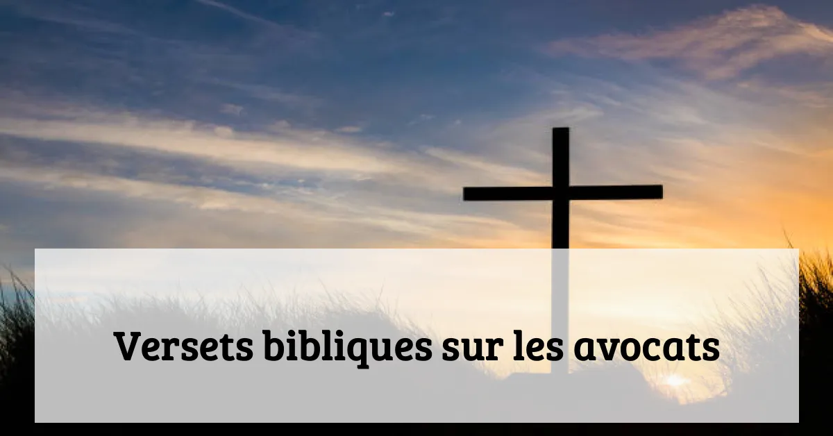 Versets bibliques sur les avocats