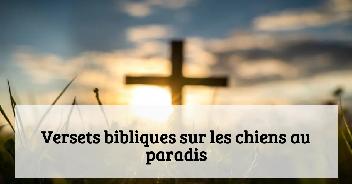 Versets bibliques sur les chiens au paradis