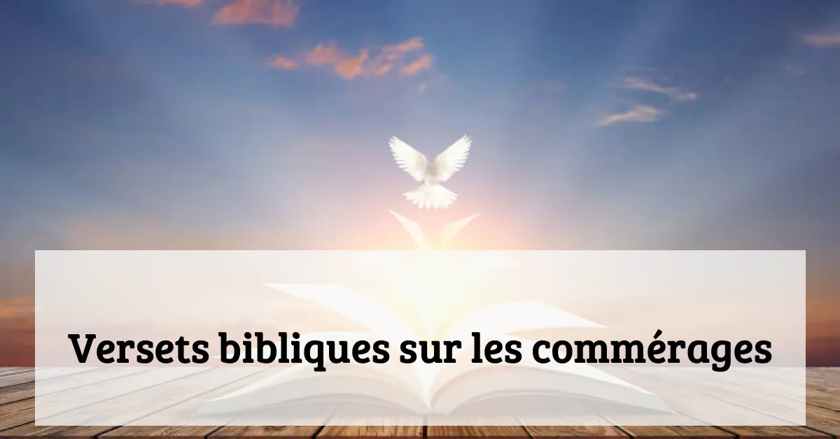 Versets bibliques sur les commérages