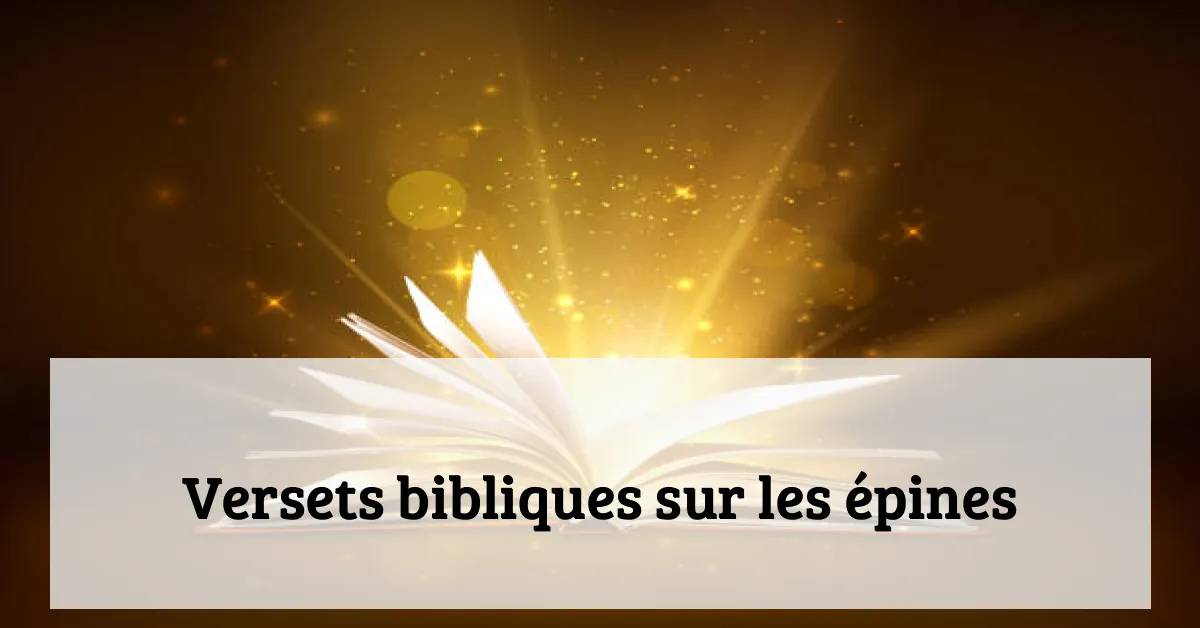 Versets bibliques sur les épines
