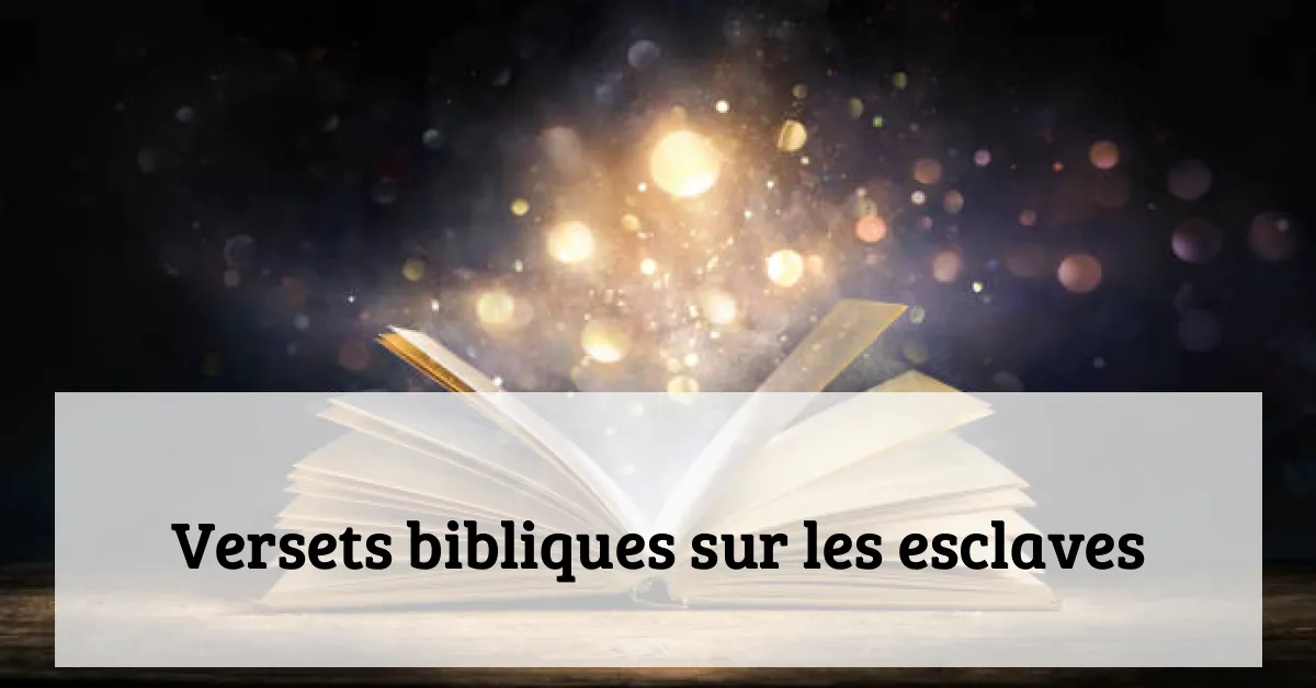 Versets bibliques sur les esclaves