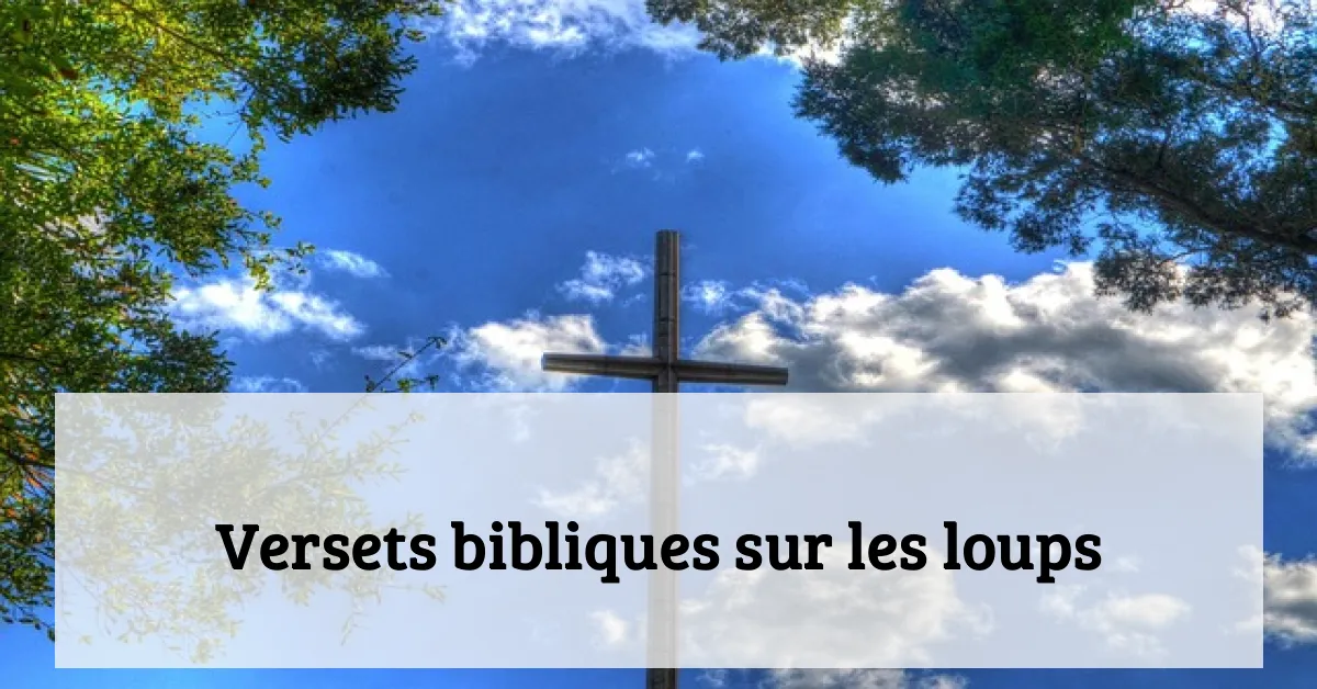 Versets bibliques sur les loups