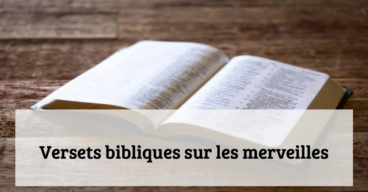 Versets bibliques sur les merveilles
