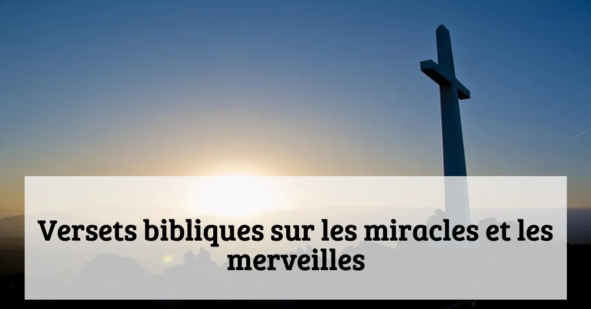 Versets bibliques sur les miracles et les merveilles