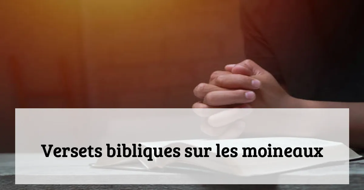 Versets bibliques sur les moineaux