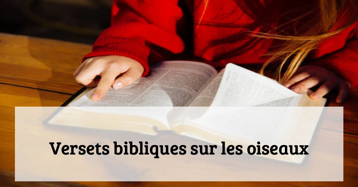 Versets bibliques sur les oiseaux