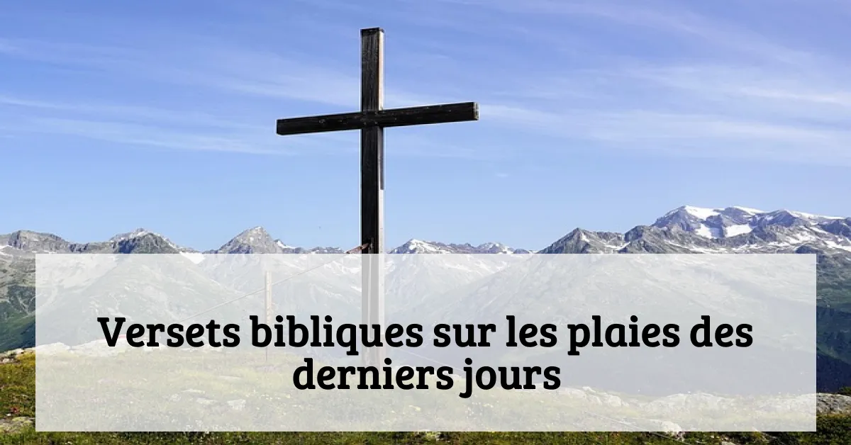 Versets bibliques sur les plaies des derniers jours