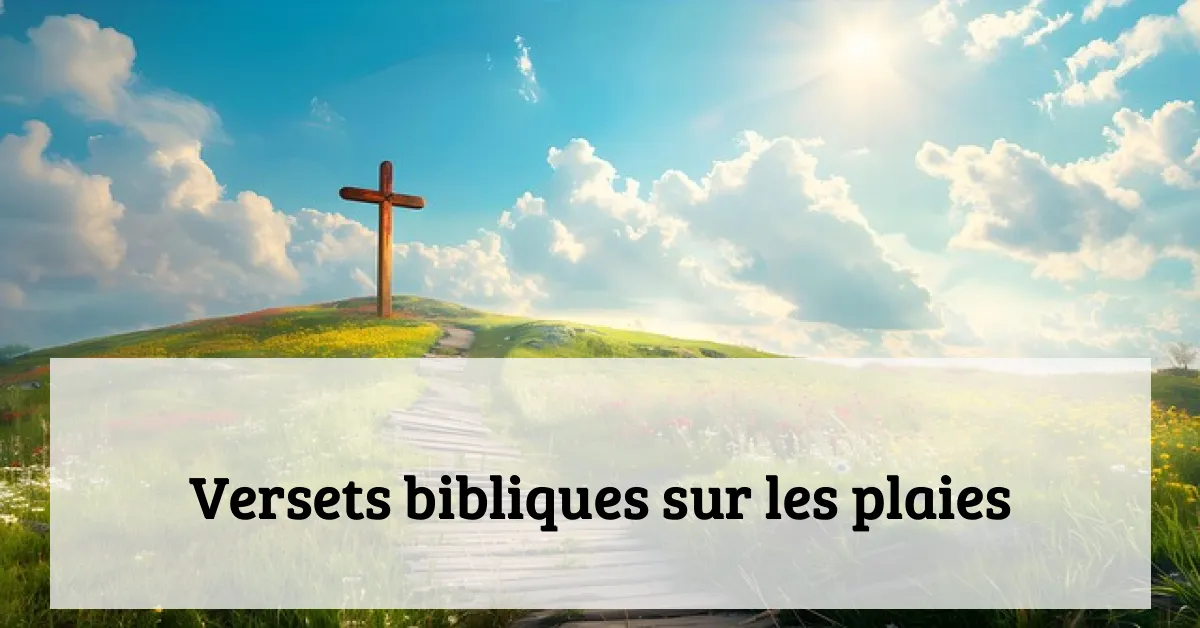 Versets bibliques sur les plaies