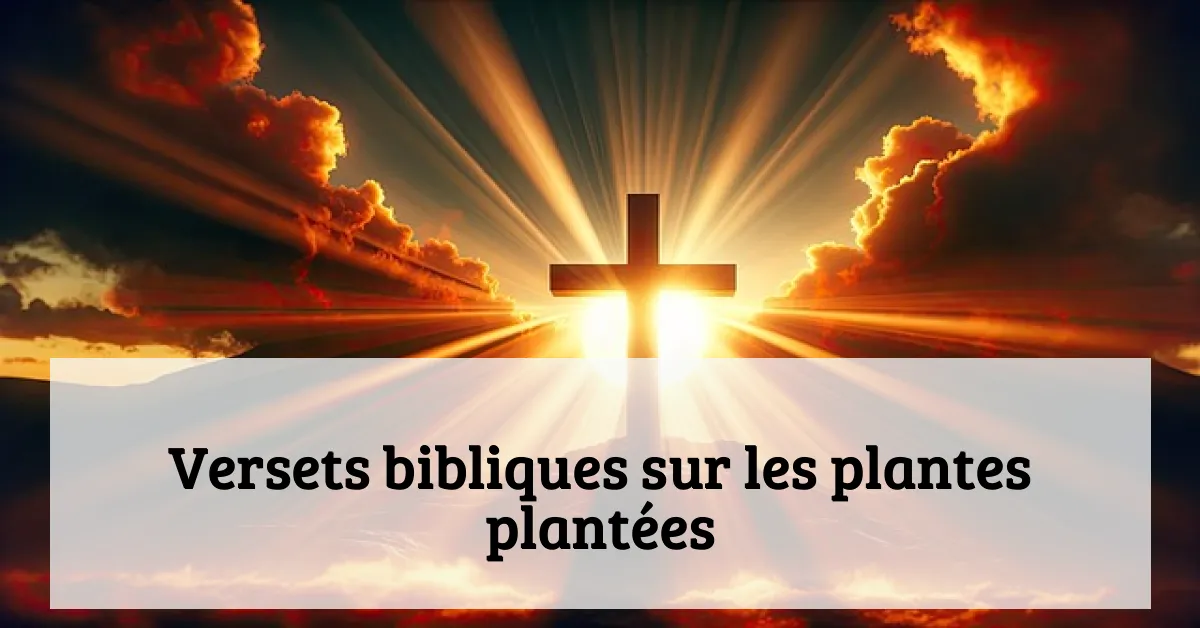 Versets bibliques sur les plantes plantées