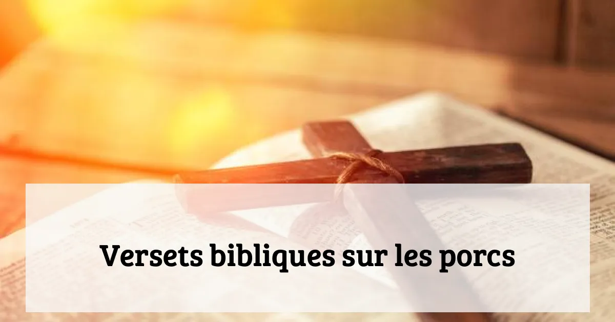 Versets bibliques sur les porcs
