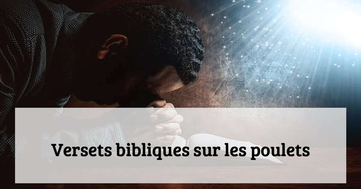 Versets bibliques sur les poulets