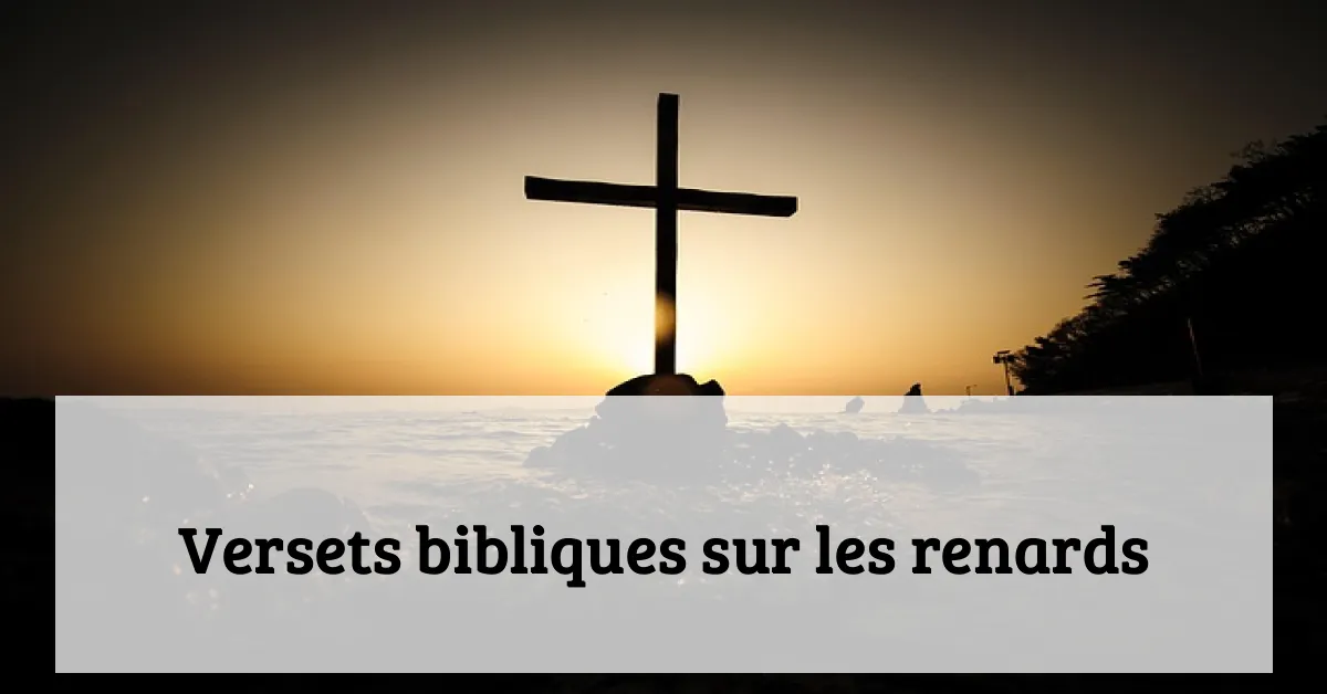 Versets bibliques sur les renards