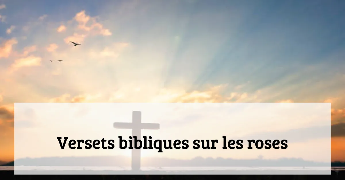 Versets bibliques sur les roses