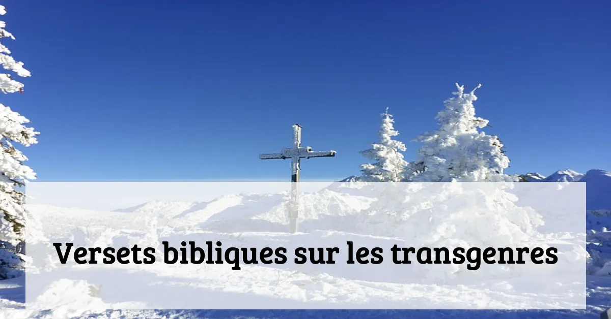 Versets bibliques sur les transgenres