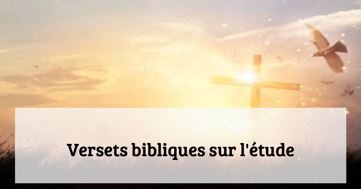 Versets bibliques sur l'étude
