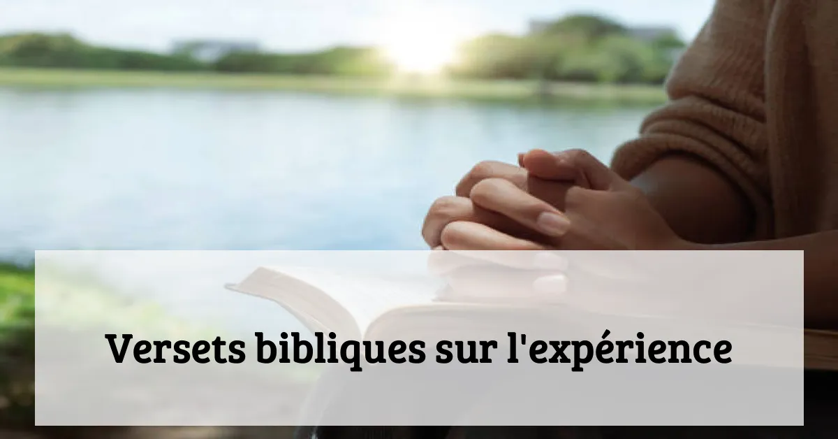 Versets bibliques sur l'expérience