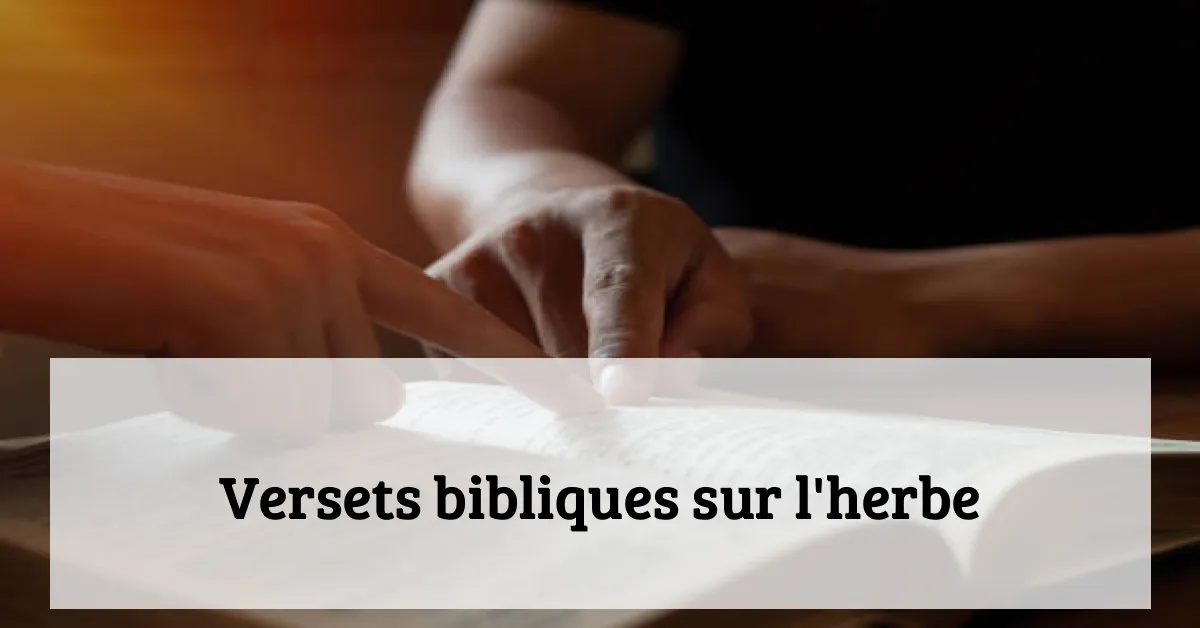 Versets bibliques sur l'herbe