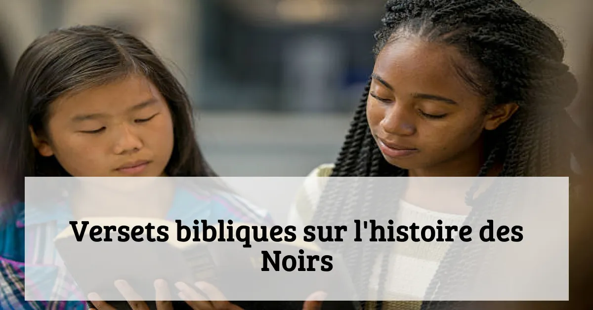 Versets bibliques sur l'histoire des Noirs