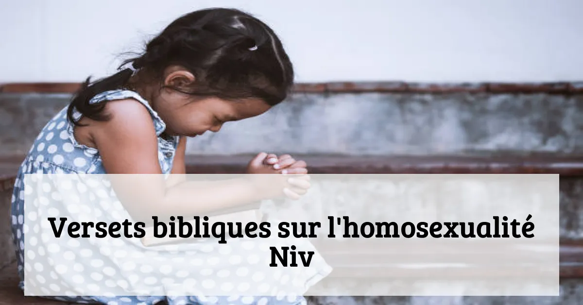 Versets bibliques sur l'homosexualité Niv
