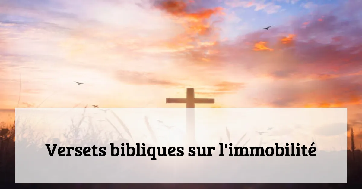 Versets bibliques sur l'immobilité