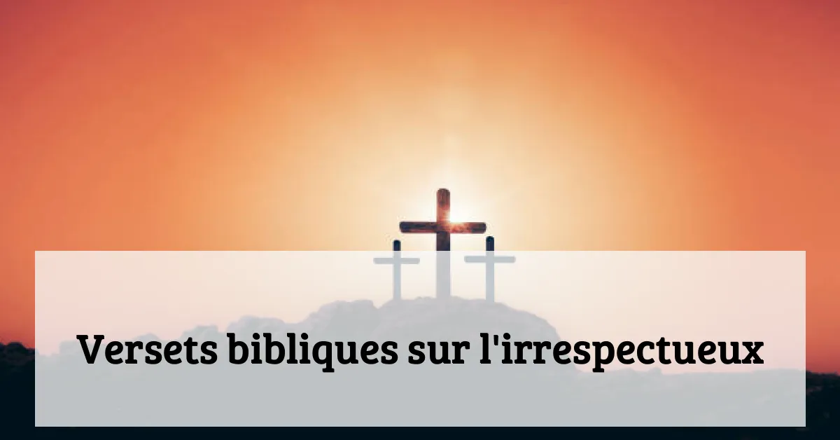 Versets bibliques sur l'irrespectueux