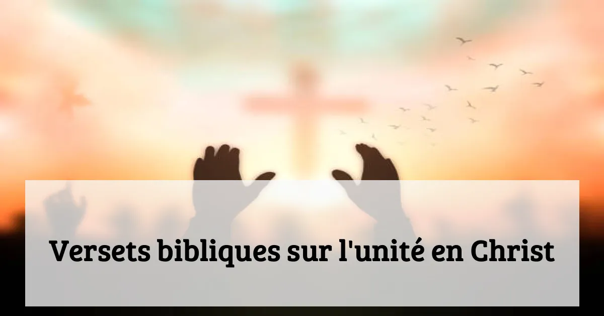 Versets bibliques sur l'unité en Christ