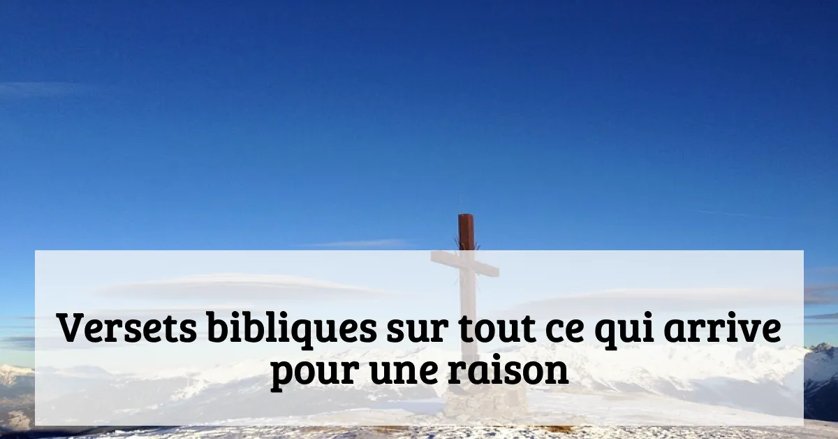 Versets bibliques sur tout ce qui arrive pour une raison